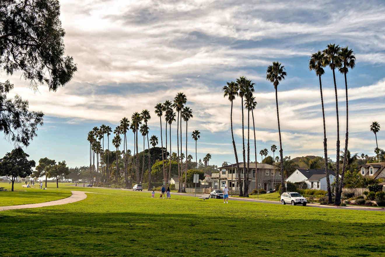 a park with palm trees and people walking on the grass