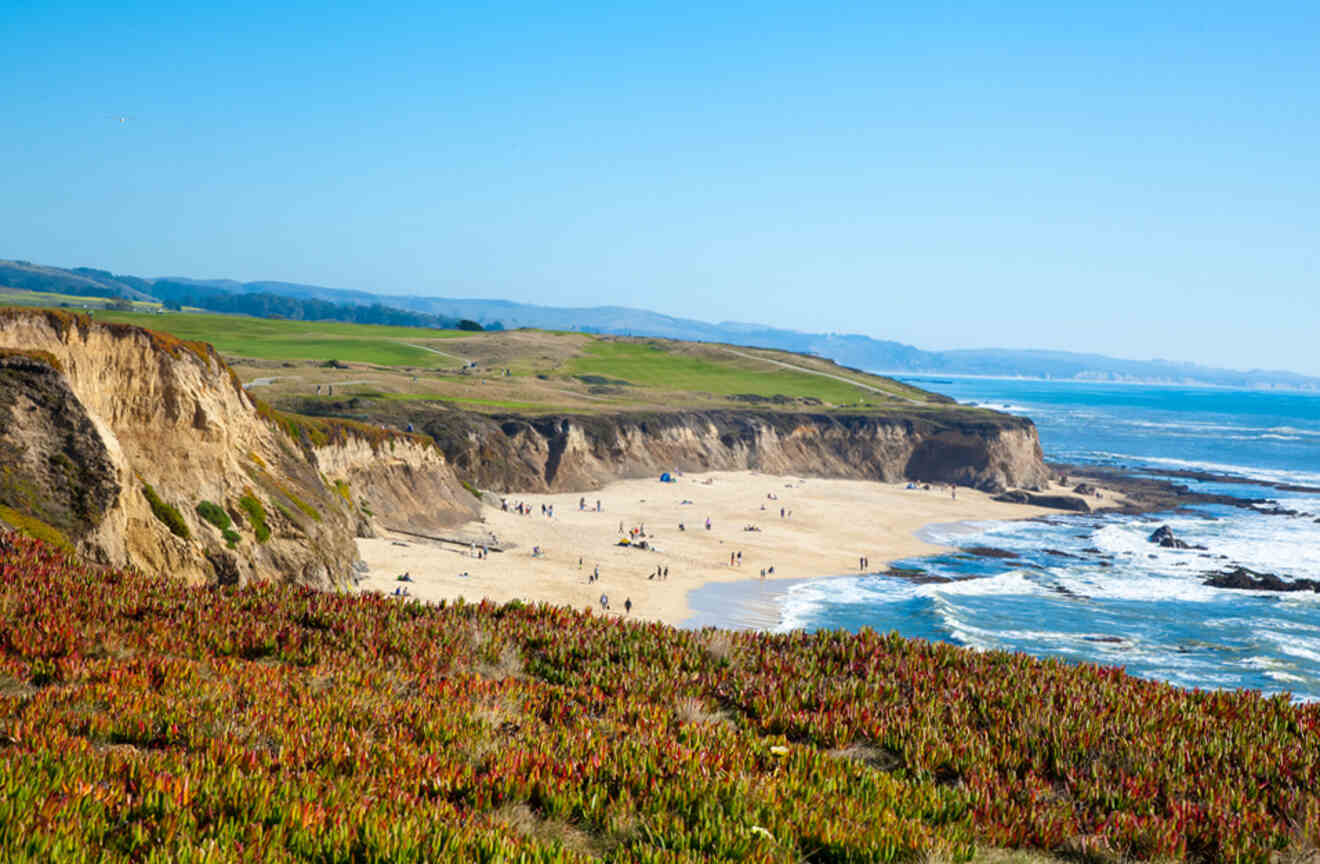 a view of a beach from a hill overlooking the ocean