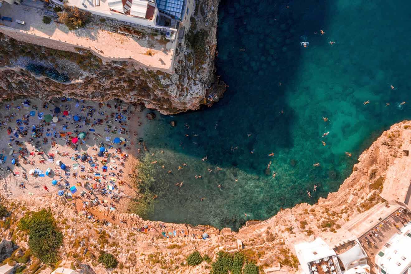 a group of people swimming in a body of water