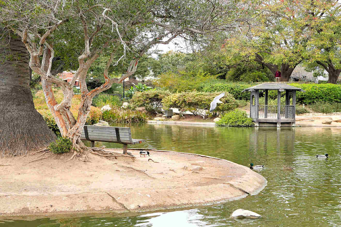 a park bench sitting next to a tree near a body of water