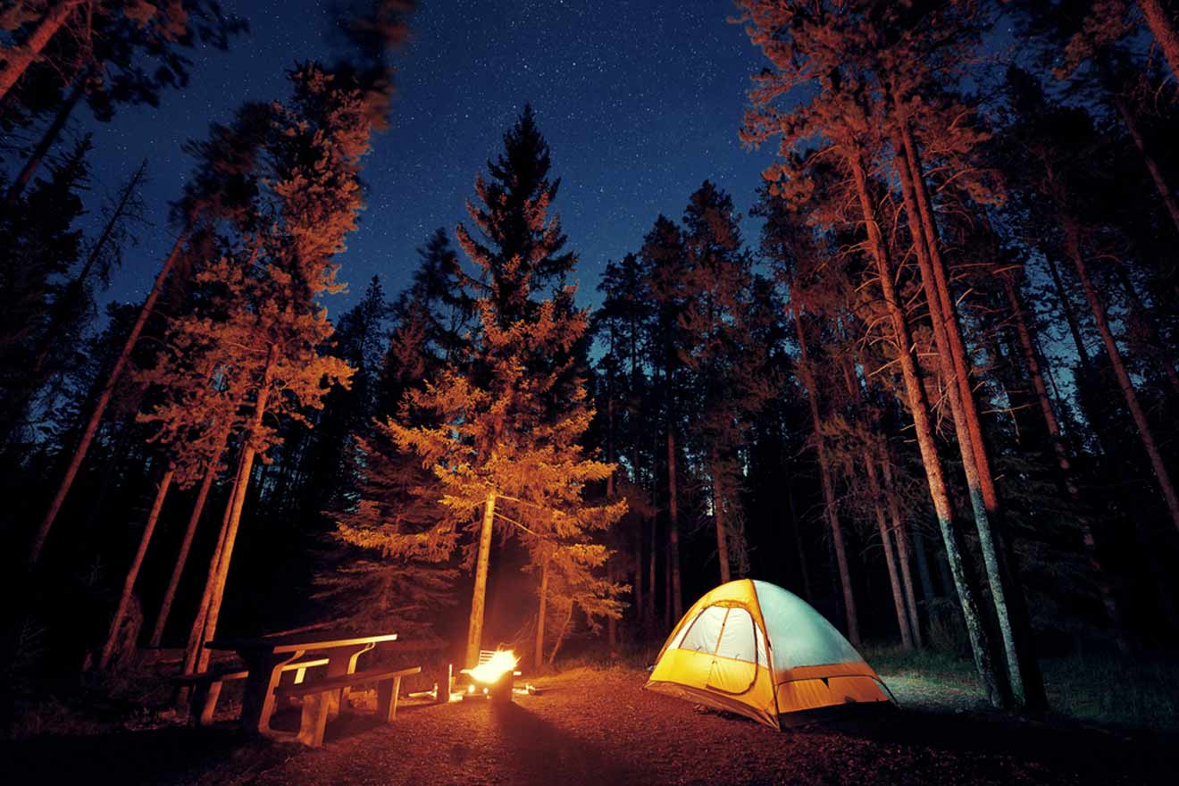 A tent and fire in the woods at night