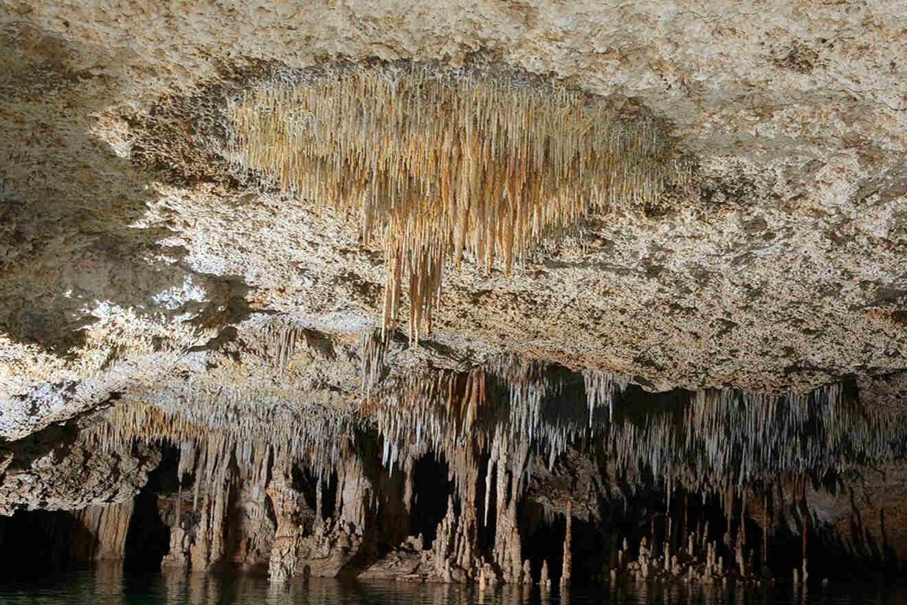 a cave filled with lots of stalactites hanging off the side of a cliff