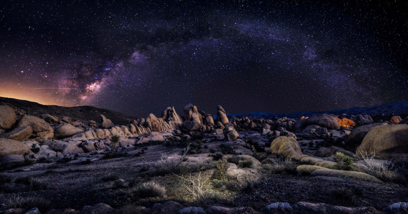 View of the Milky Way over cacti at night