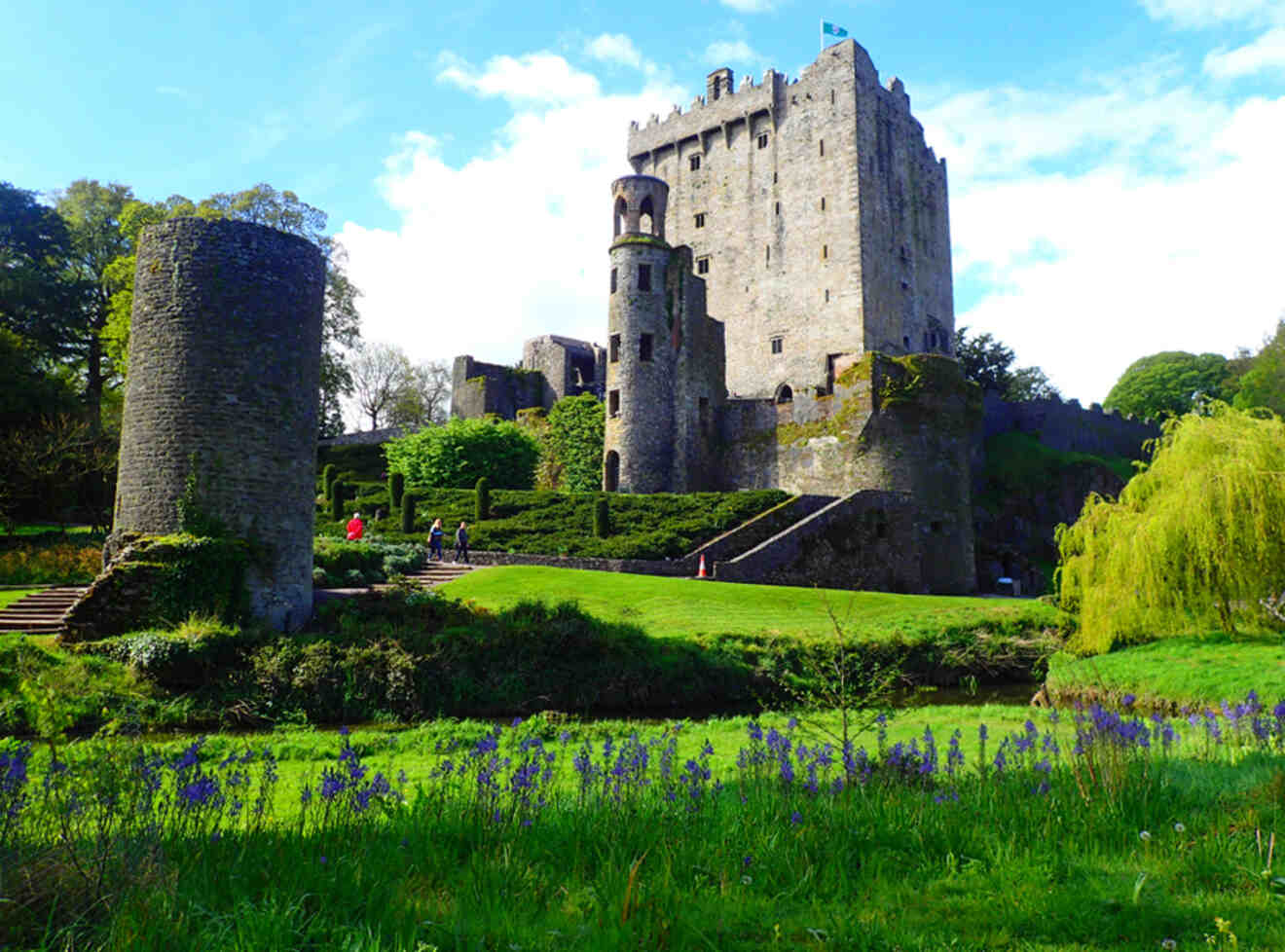 a castle with a lot of trees and bushes in front of it