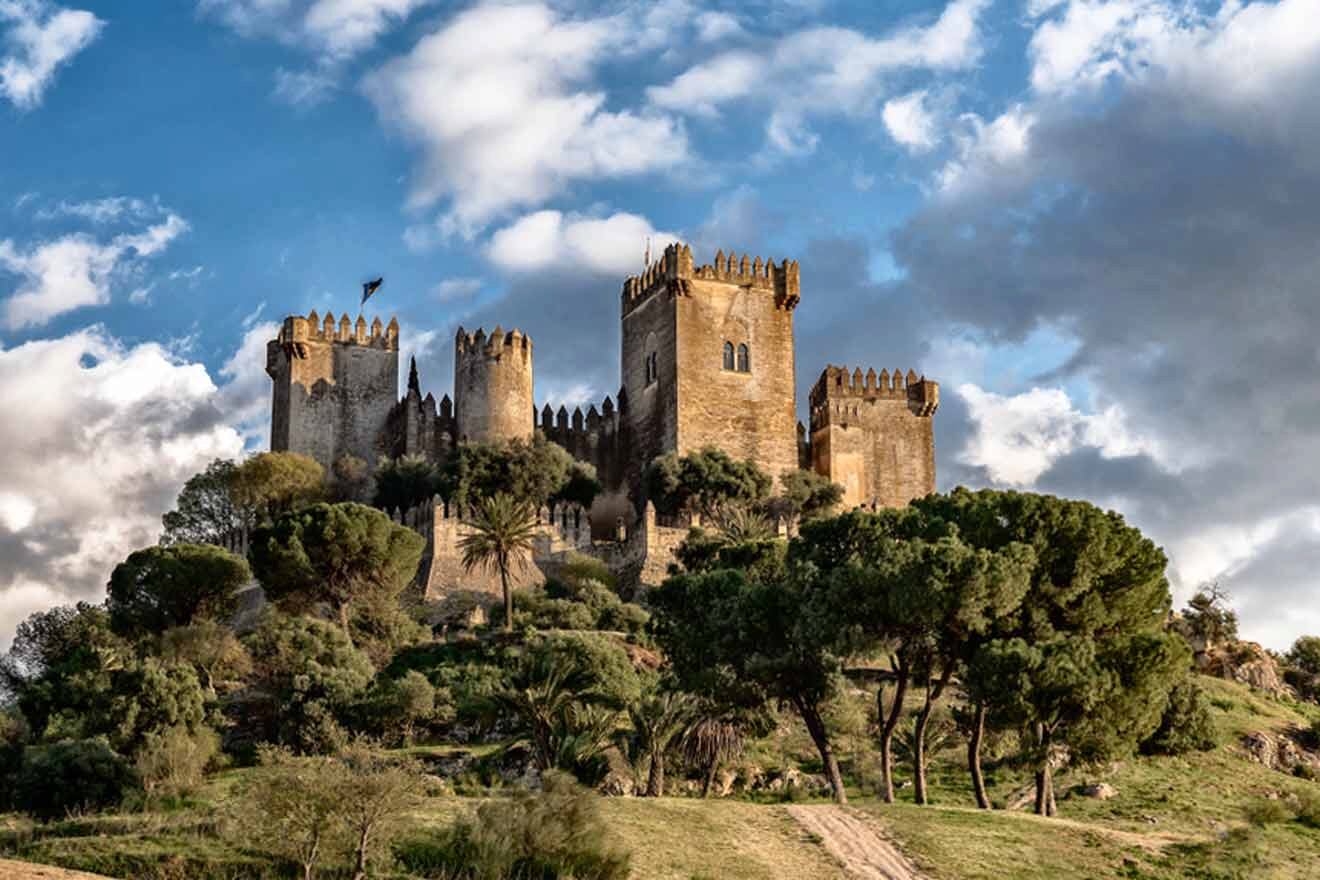 castle on top of a hill surrounded by trees and greenery