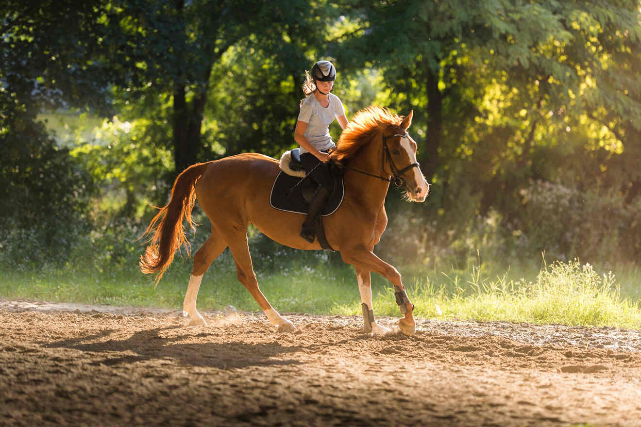 a person riding on the back of a brown horse