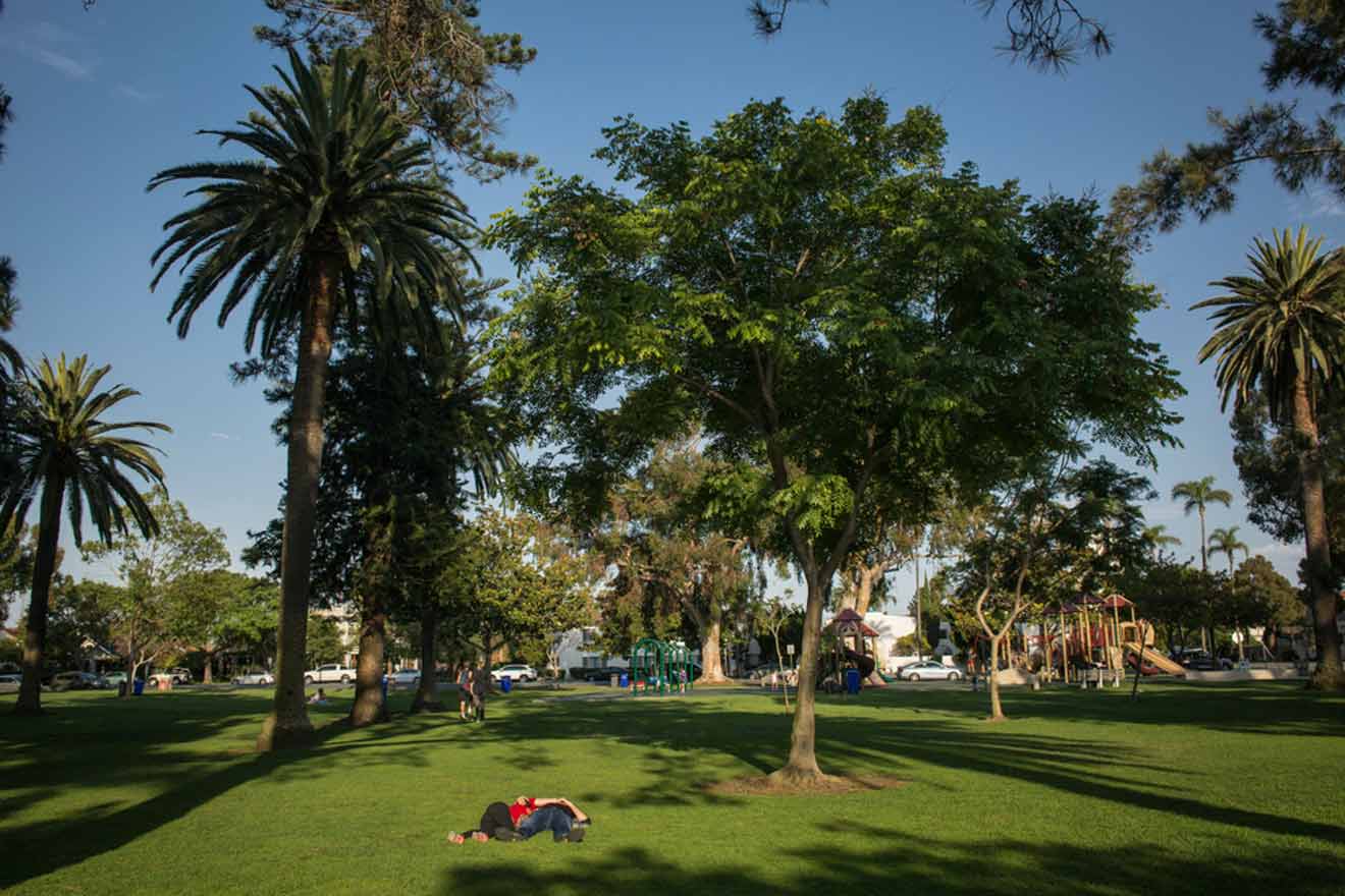 people laying in the grass under a tree in the park