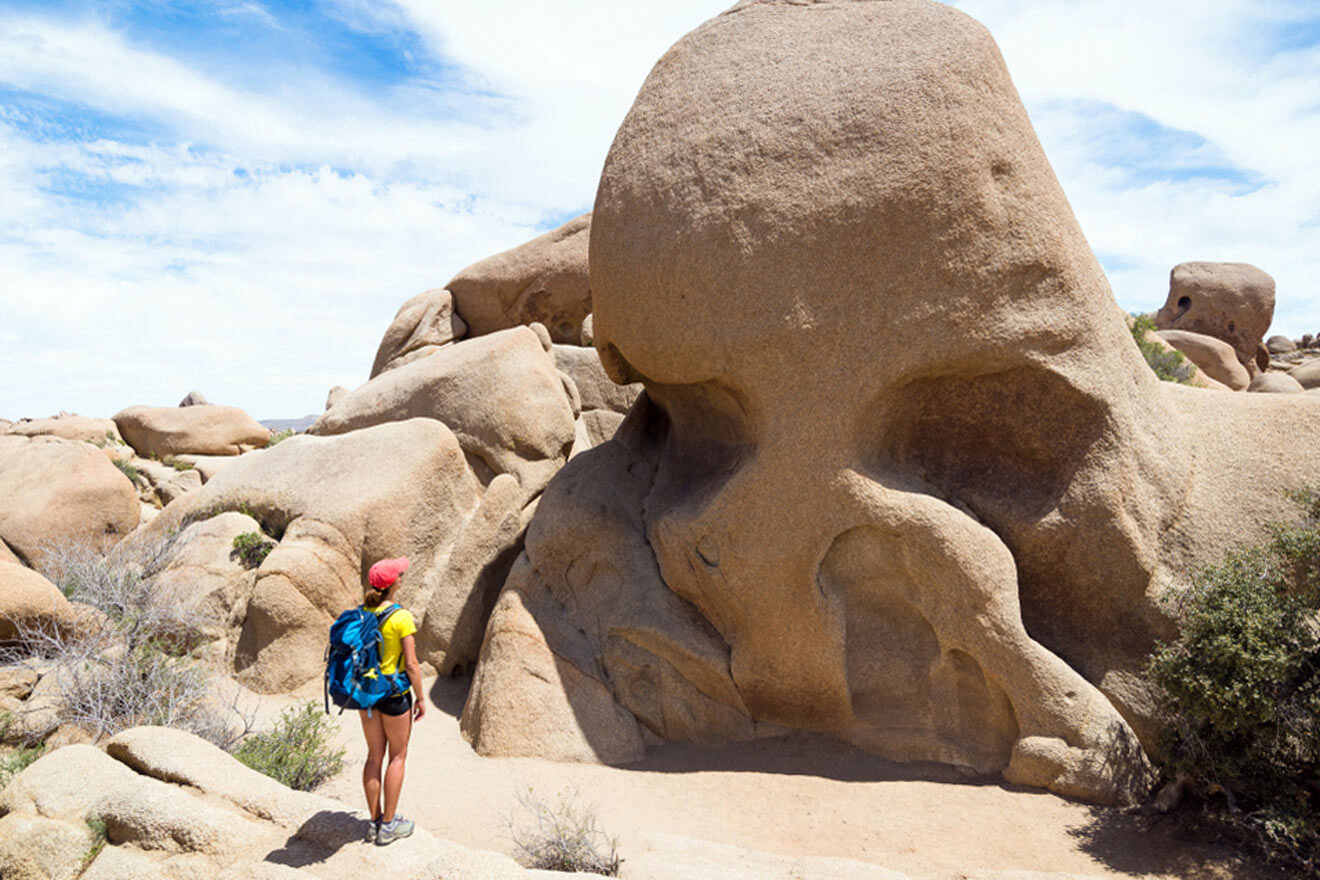 a person standing in front of a large rock formation in the shape of a skull