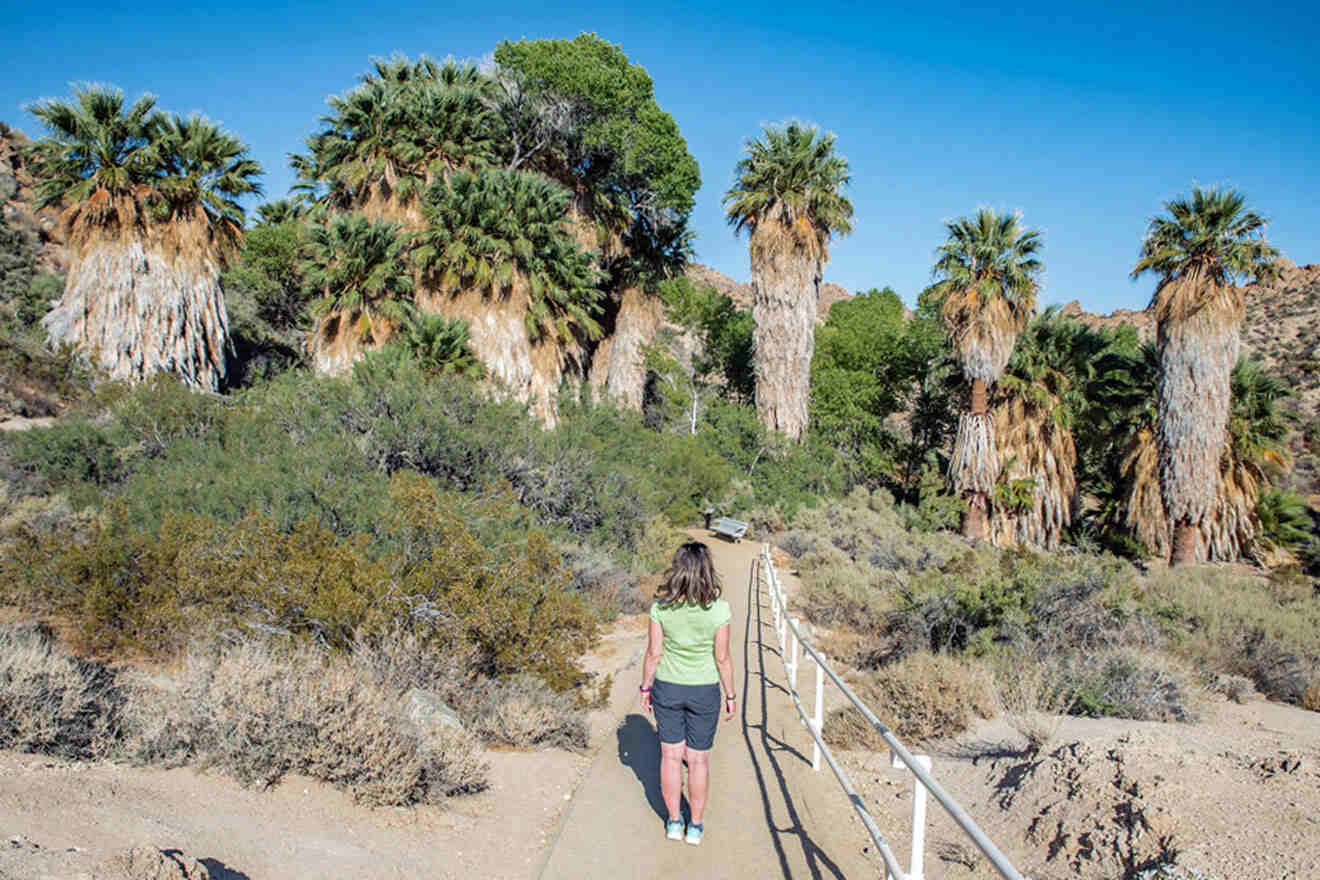 a woman walking down a path in the desert