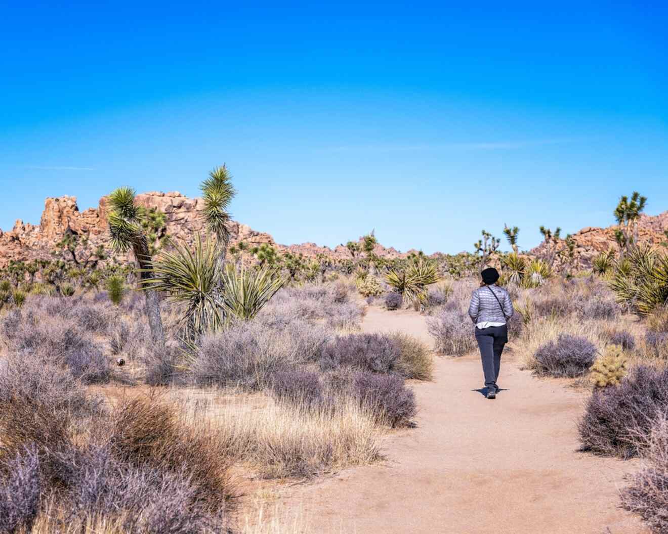 A person walking along a trail in the desert