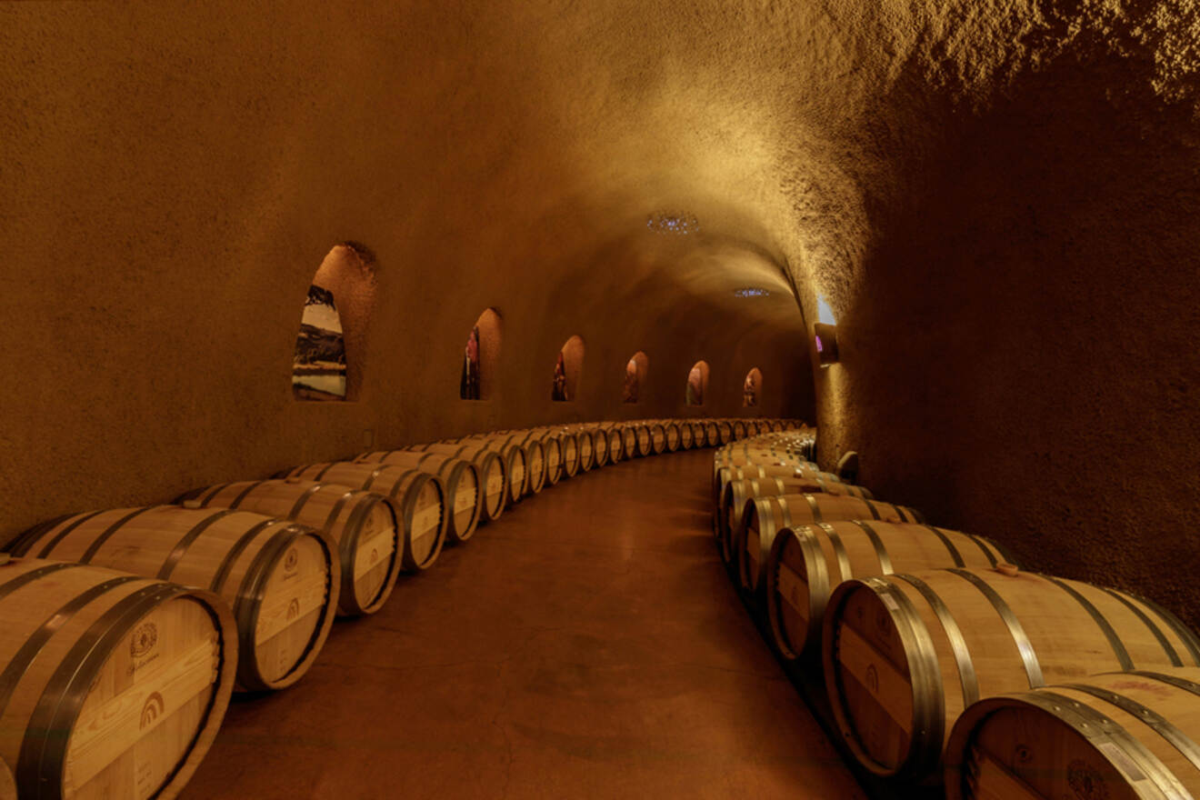 wine cellar with lots of wine barrels