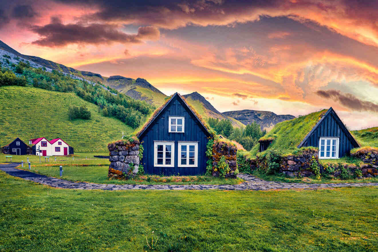 view of a field with traditional turf houses