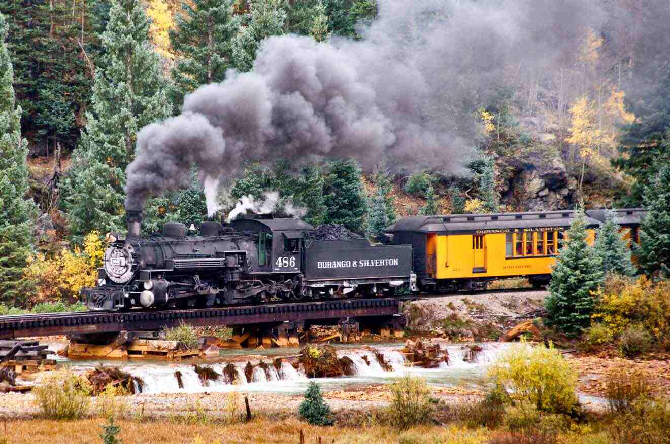 a train traveling through a forest filled with trees