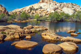 15 Things to Do in Joshua Tree: Hikes, Attractions, & More