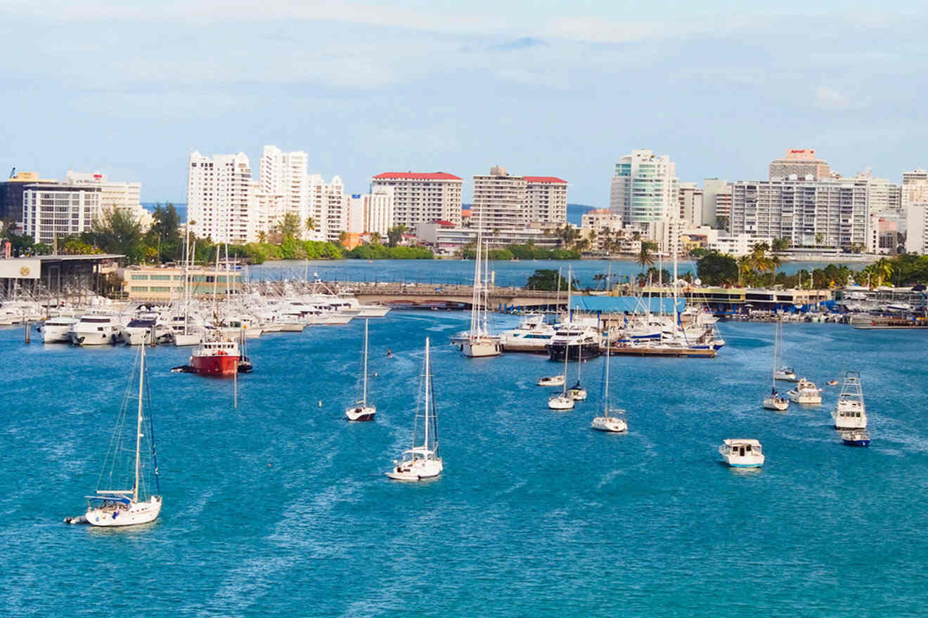 9 BEST Boat Tours in Puerto Rico → with Prices!