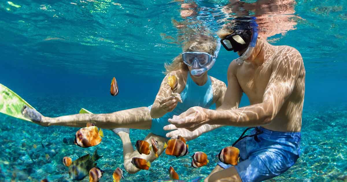 Top 5 Siesta Key Snorkeling Tours (+ Other Water Tours)