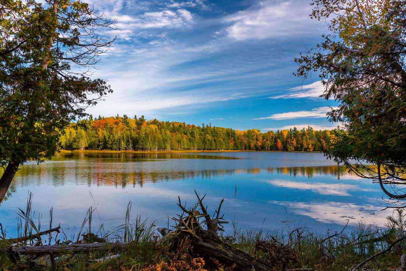 a large body of water surrounded by trees