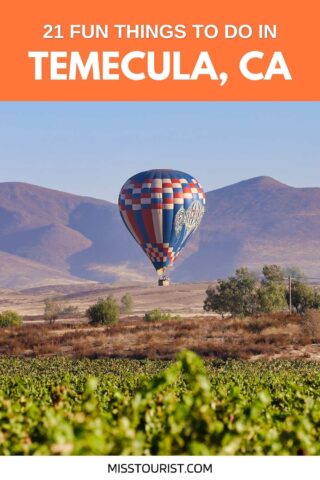 a hot air balloon flying over a field with mountains in the background