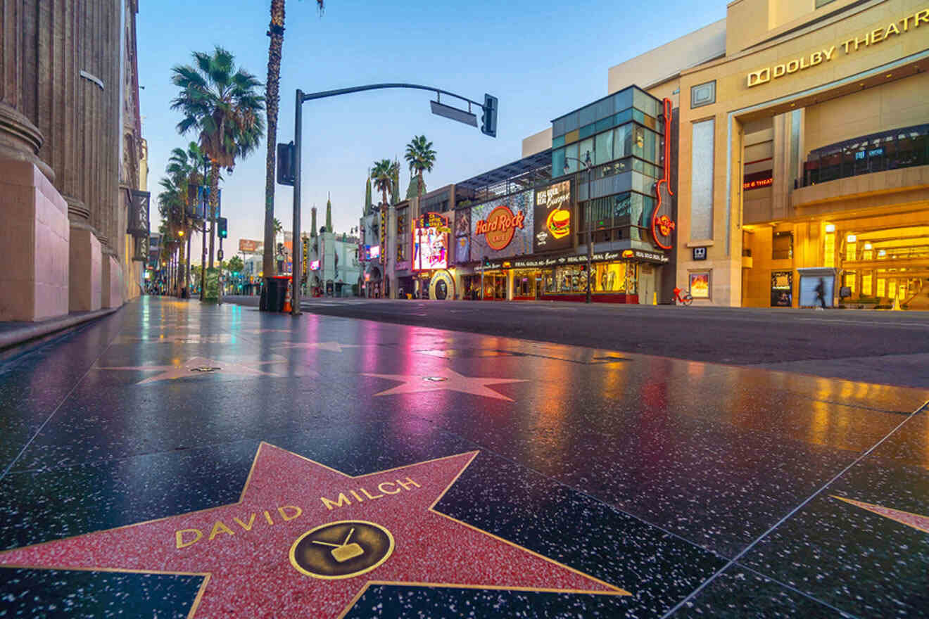 A view of Hollywood Boulevard featuring the star of David Milch on the ground.