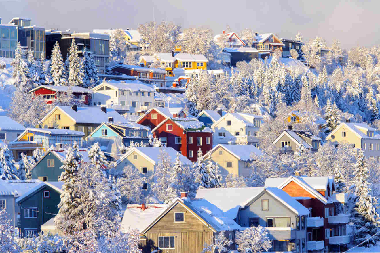 a snow covered hillside with colorful houses and trees