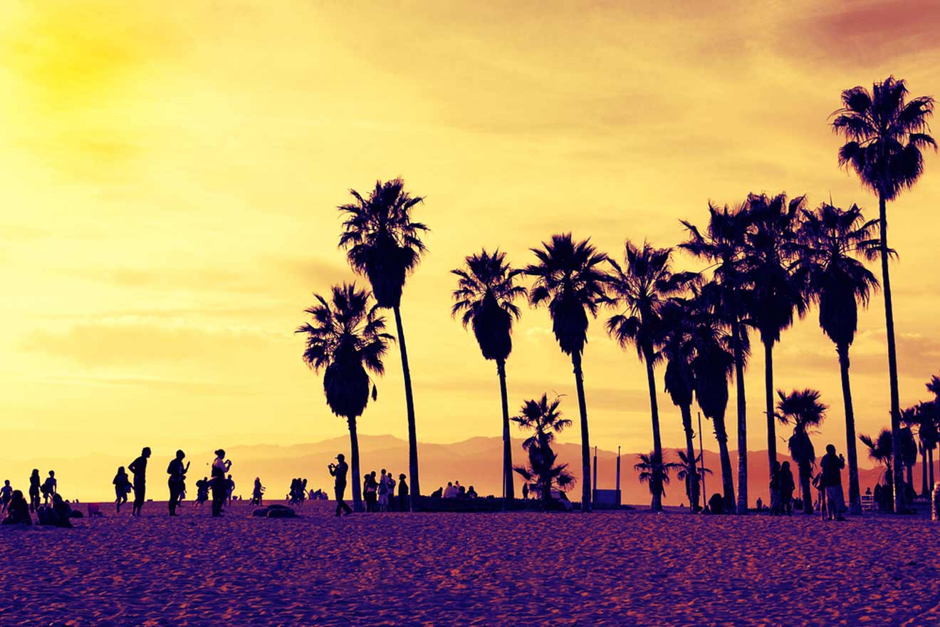 a group of people standing on top of a sandy beach at sunset