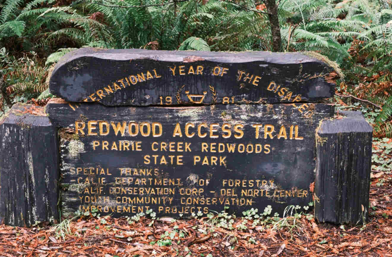 a sign that says redwood access trail