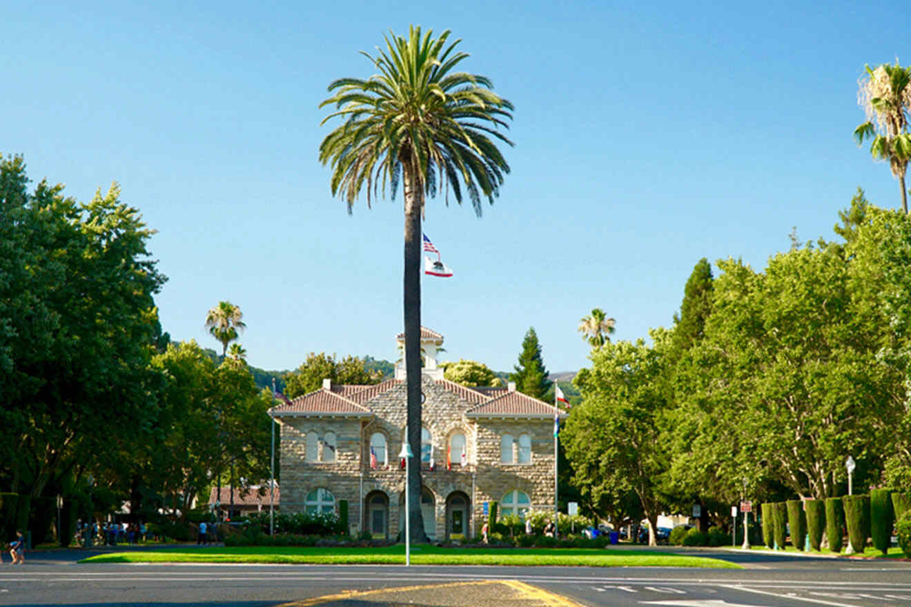 A palm tree in front of a building.