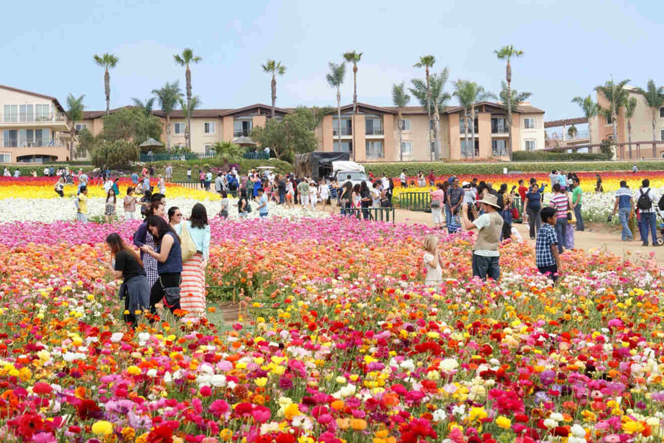 A group of people standing in a field of flowers.