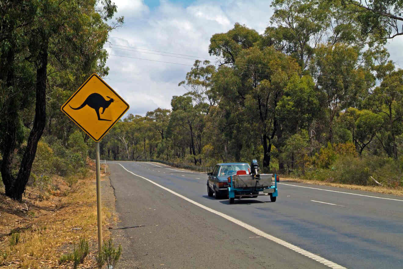 A kangaroo crossing sign on a country road.