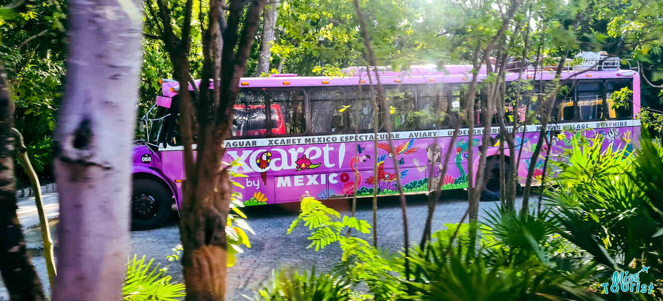 A pink bus parked in a forest.