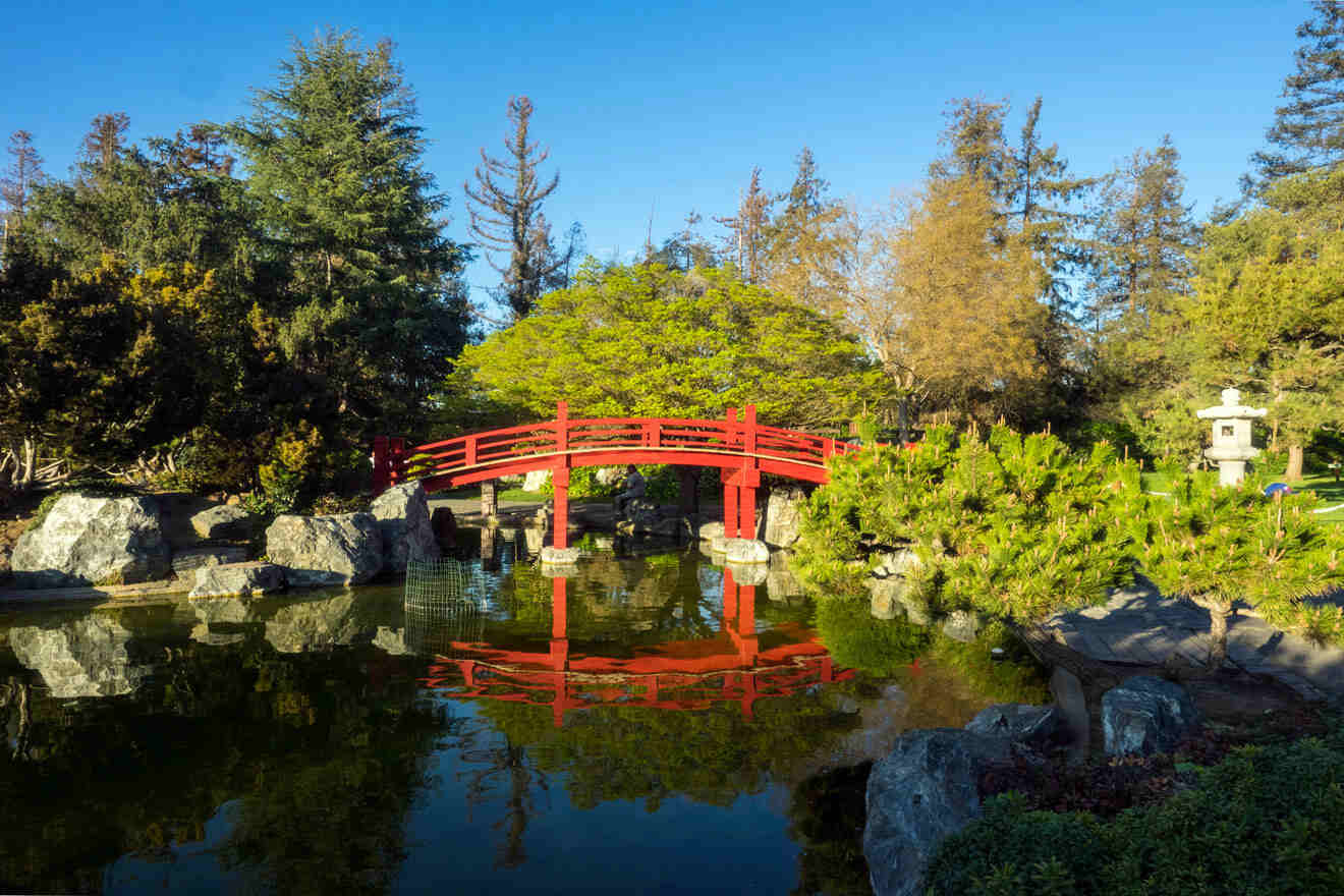 red bridge over the water surrounded by trees
