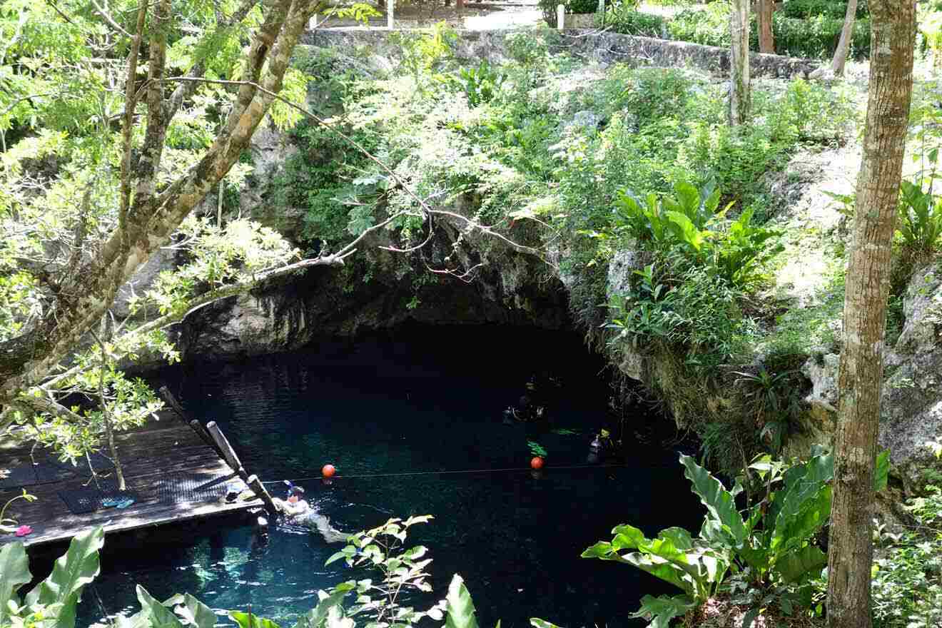tourists swimming in a cenote surrounded by trees and greenery