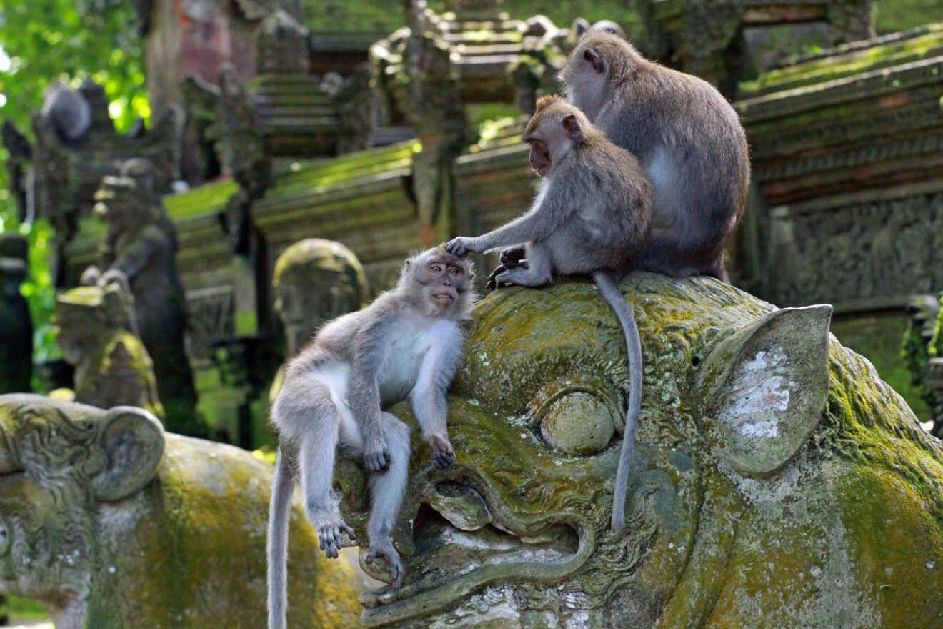 A group of monkeys are sitting on top of a statue.