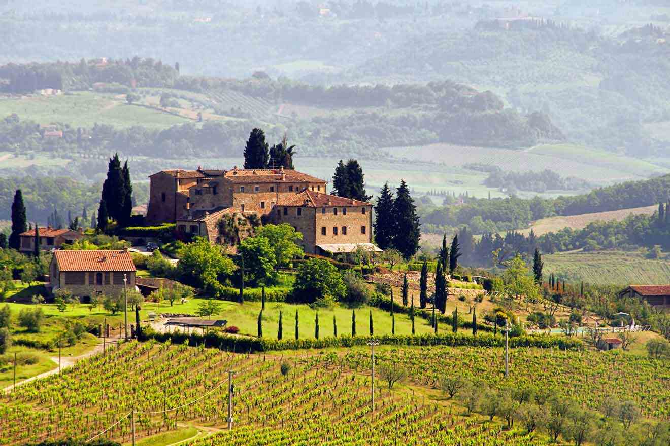 a small village on a hill surrounded by trees and a vineyard in front of it