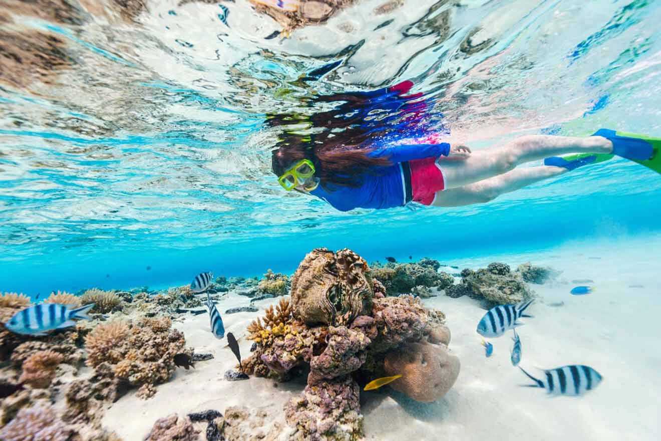 woman snorkelling in a coral reef