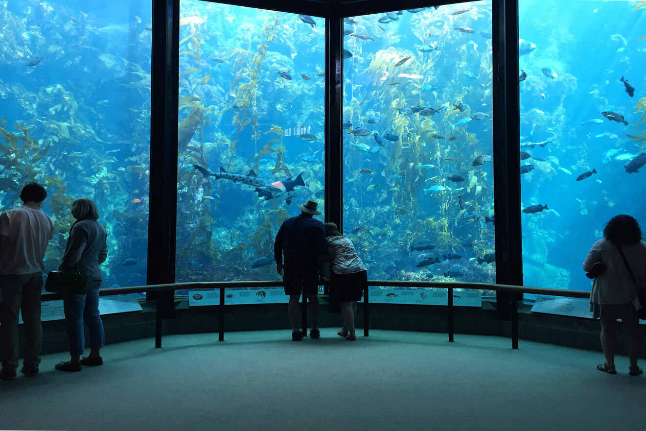 people watching fish swimming at the aquarium