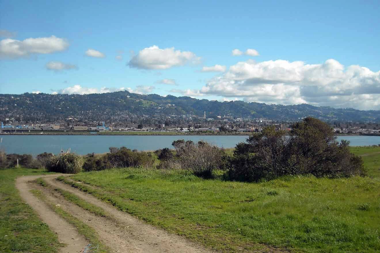 A dirt road leading to a body of water.