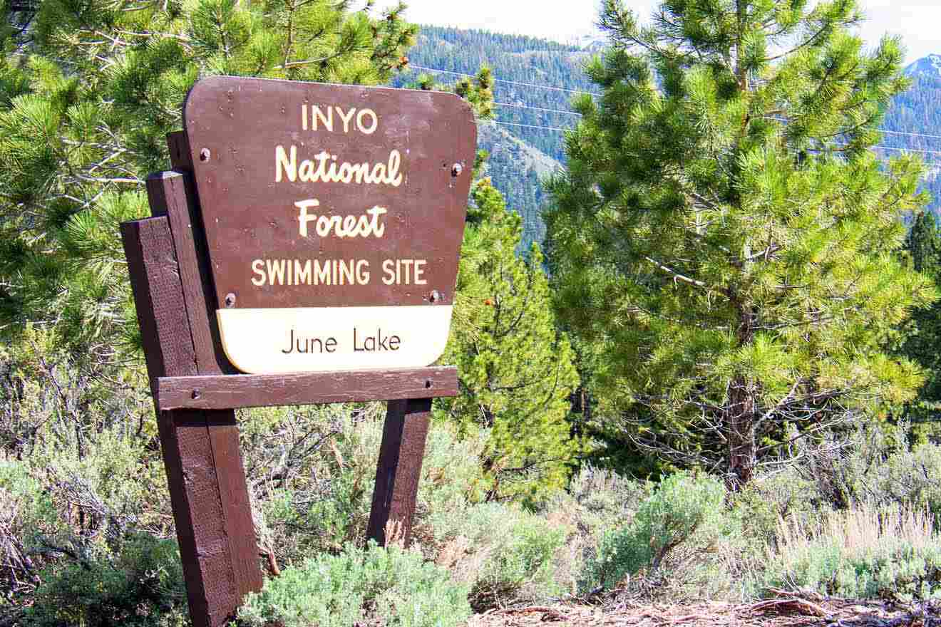 A sign in front of a forest with trees in the background.