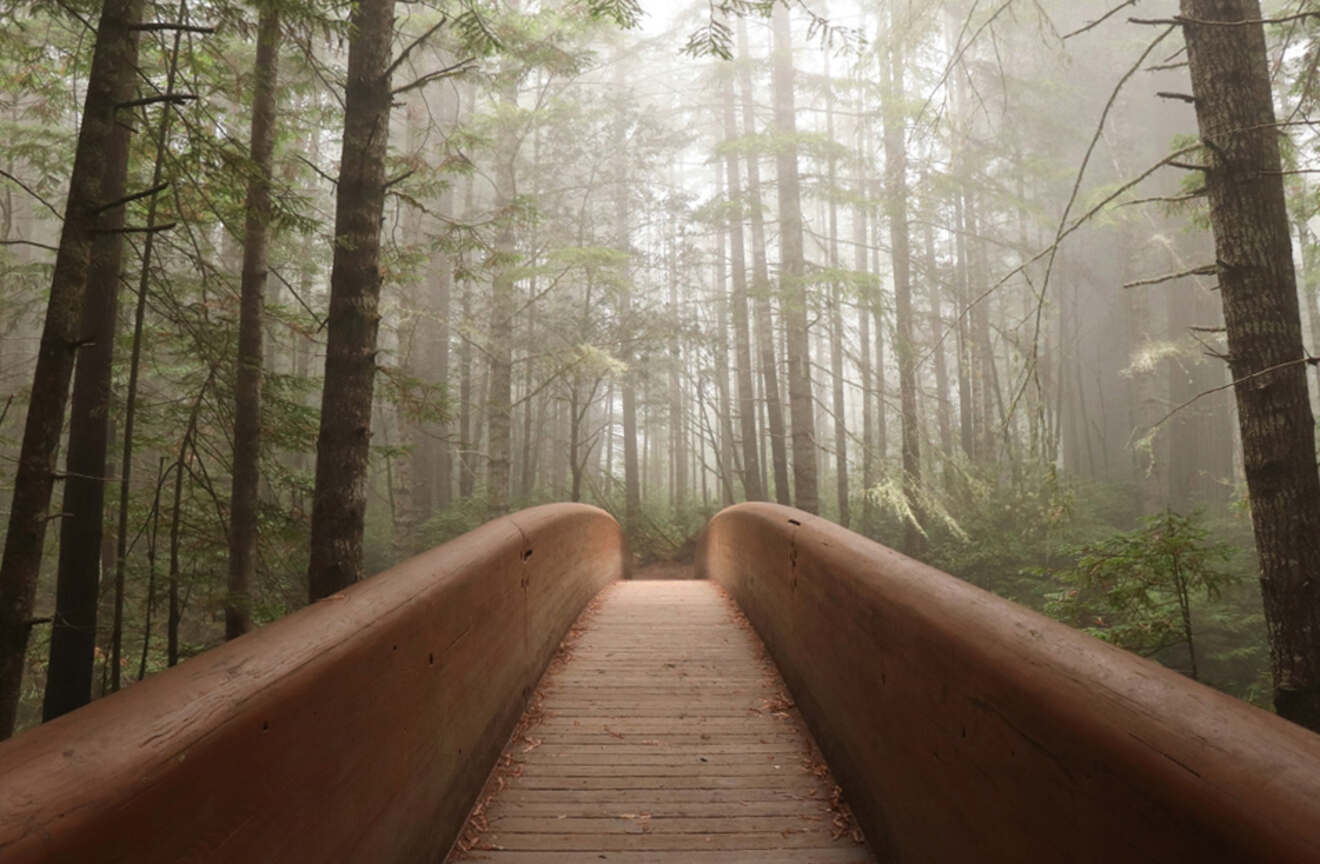 a wooden bridge that leads towards a forest with tall trees
