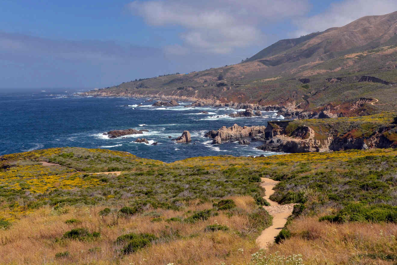 A trail leading to the ocean near big sur, california.