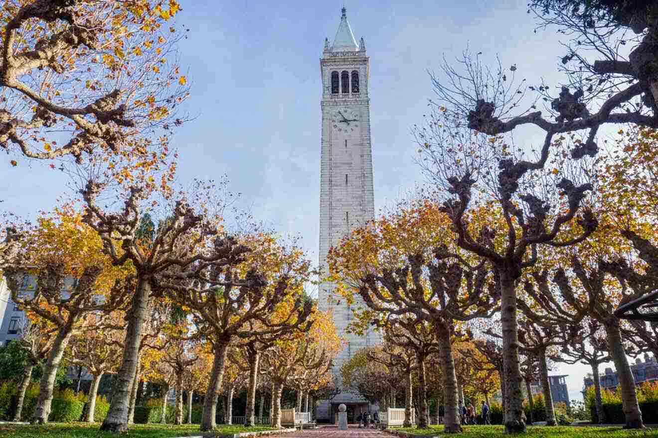 Sather Tower with trees in front of it