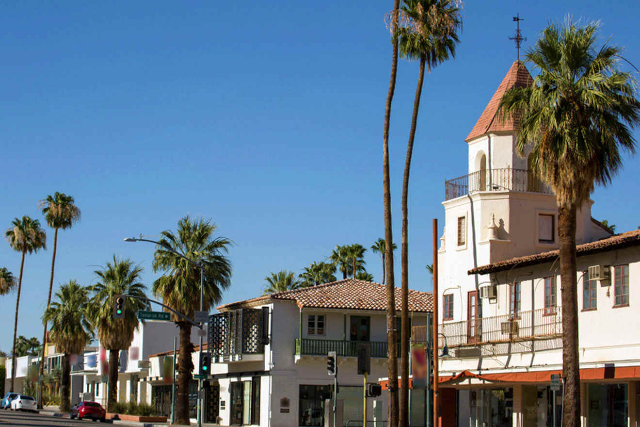 A street with palm trees and buildings