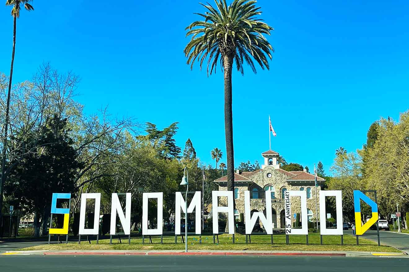 A sign that says sonomawood in front of a palm tree.