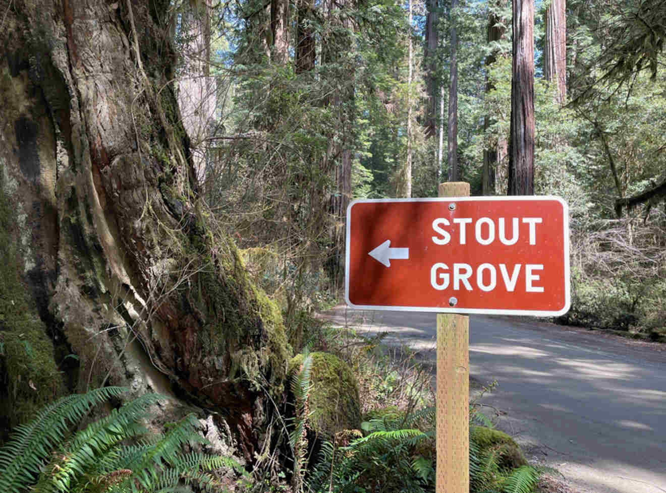 a sign pointing to the left to stout grove
