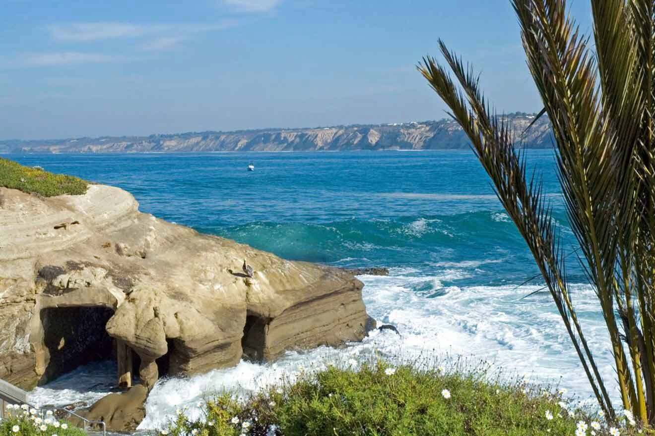 A rocky cliff overlooking the ocean and a palm tree.
