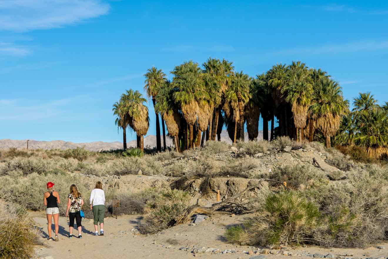 3 people standing in a nature reserve with trees