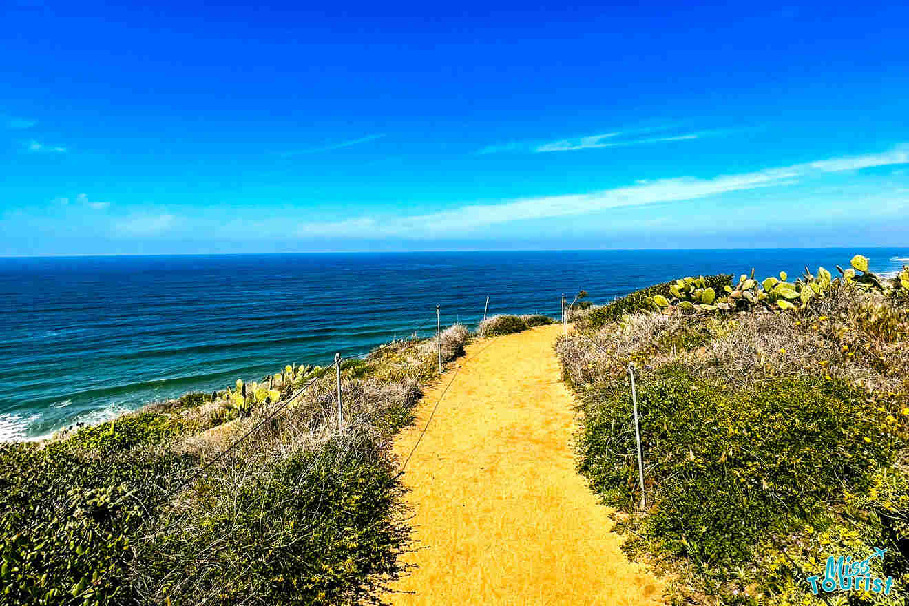 A path leading to the ocean on a hill.