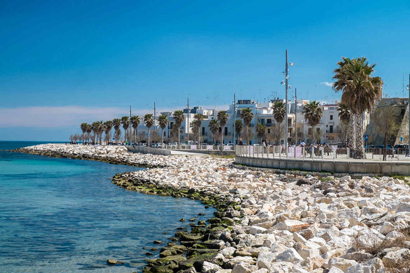 A beach with palm trees and rocks along the shore.