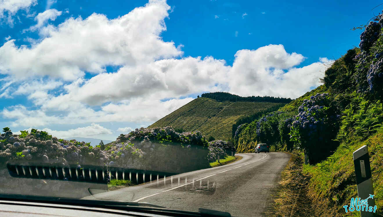 A car driving down a hill with purple flowers in the background.