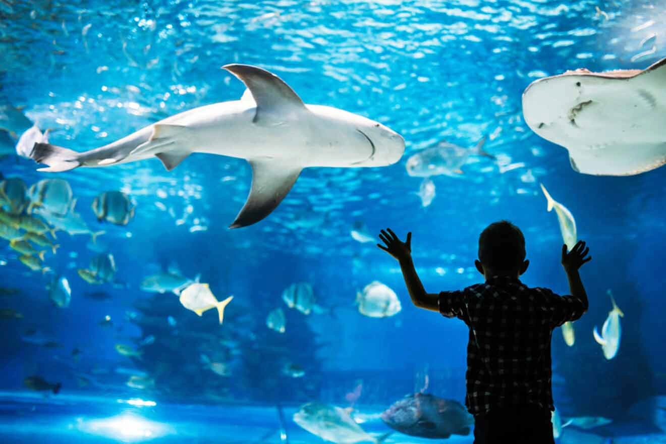 child watching fish and sharks at an aquarium